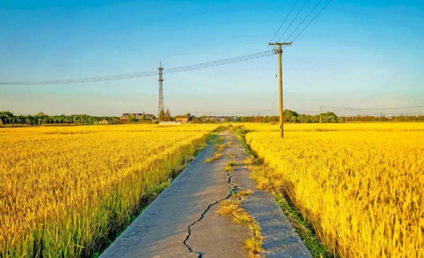 輕鋼別墅: 遠離城市喧囂,獨享一方寧靜(圖2) 鄉(xiāng)間風(fēng)景