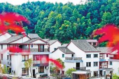 2021年杭州計劃新開工裝配式農房4.3萬㎡,大約完成6000戶的農房建設!