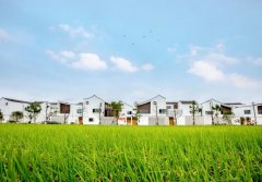 住建廳給你揭曉 裝配式農(nóng)房有哪些有點?